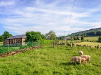 casa de turismo rural en A Fonsagrada